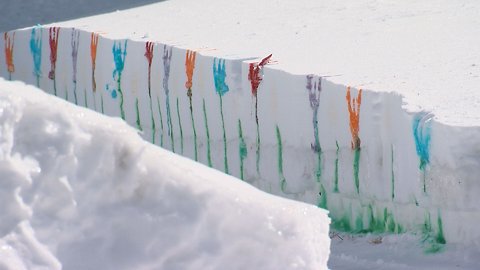 Bringing spring cheer to winter