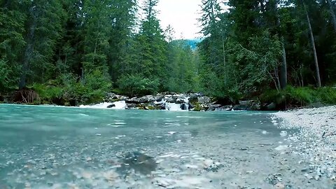Tranquil Water Flow in the Forest - Nature's Serenity