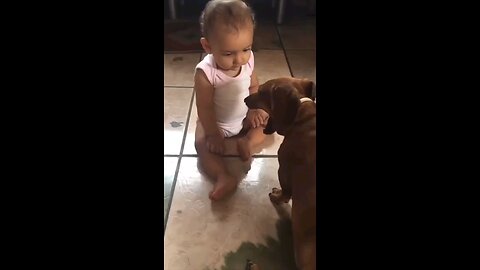 Dog’s Affectionate Gesture towards a Little Girl