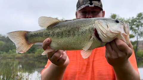 Summer Low Pressure = HOT Bite!