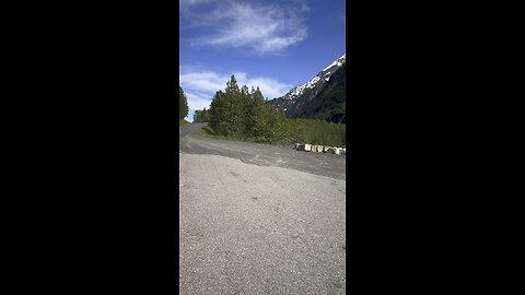 Bear Glacier