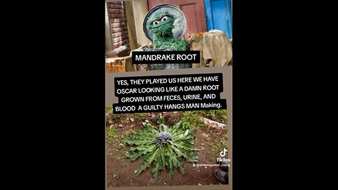 A002 SATAN AGENDA - THE MANDRAKE ROOT (THE DEVILISH JINN EGGS INFECTION) ANCIENT MAGIC (COVID19):