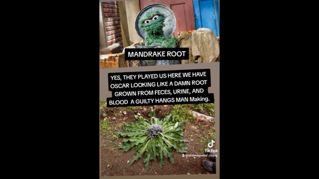 A002 SATAN AGENDA - THE MANDRAKE ROOT (THE DEVILISH JINN EGGS INFECTION) ANCIENT MAGIC (COVID19):