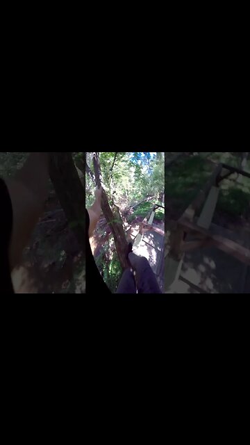 POV Parkour Tree to Rail jump