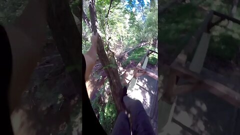 POV Parkour Tree to Rail jump