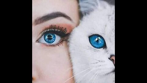 الولايات المتحده الامريكية