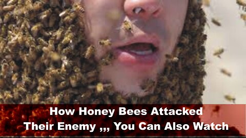 How honey bees attack their enemy
