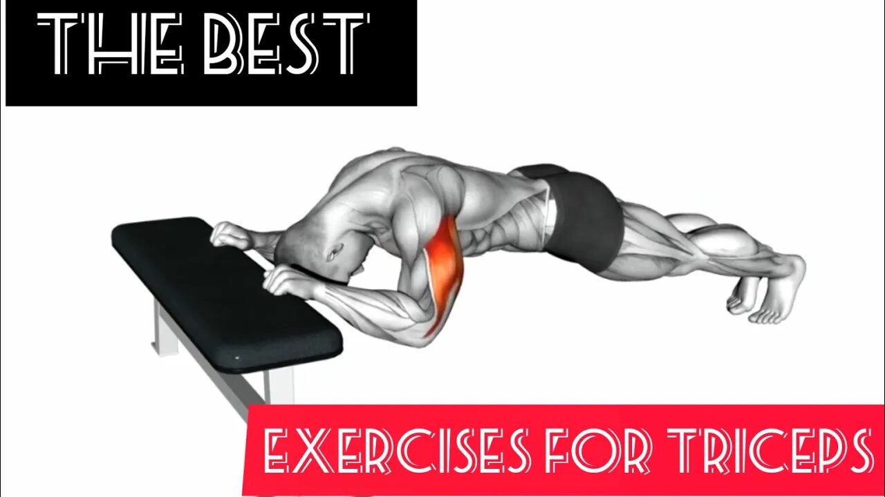 The best exercises for triceps(6 exercise)