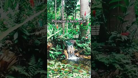 Energia Positiva Binaural 432 Hz #shorts
