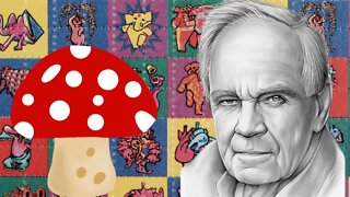 Cormac McCarthy took LSD?? 🍄🍄🍄