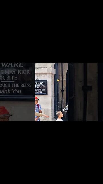 The look on this boys face #horseguardsparade