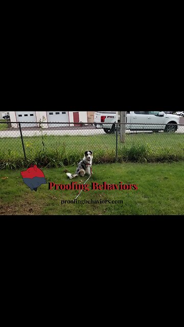 Cable's Introduction Ruff Cut PodCast