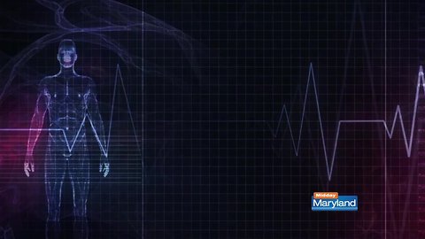 The Vascular Center at UM BWMC