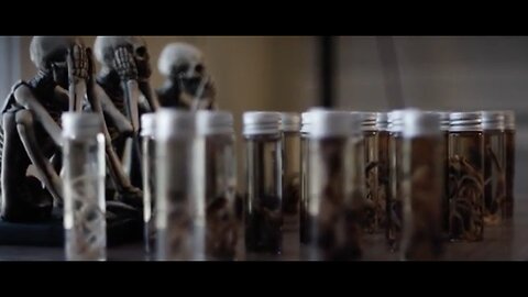 “Died Suddenly” Movie Review