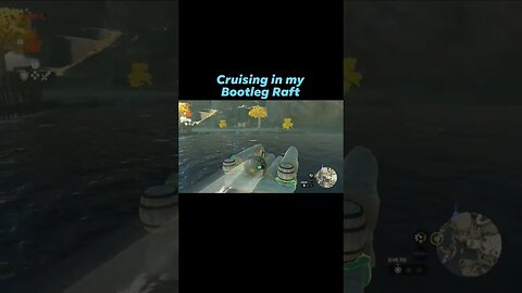 #TheLegendOfZelda #TearsOfTheKingdom My Homely looking boat.