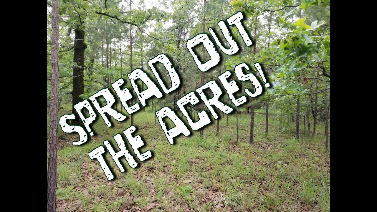 Don’t put all your acres on one homestead!