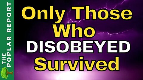 Shocking STORIES From Lahaina & Maui | People Made Some BAD Choices