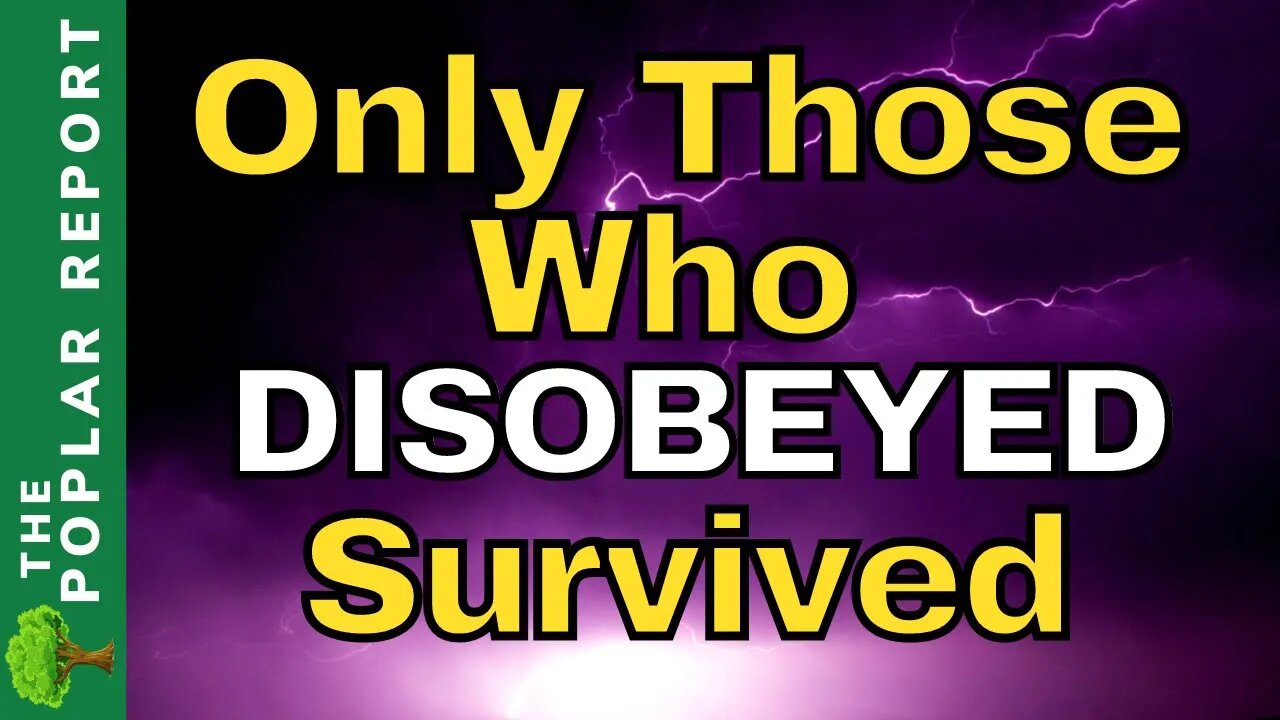 Shocking STORIES From Lahaina & Maui | People Made Some BAD Choices