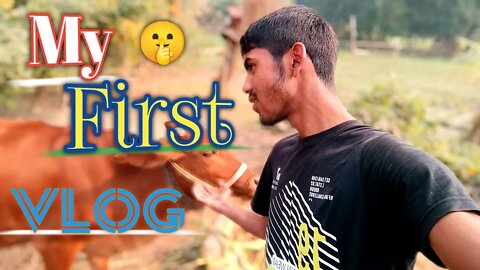 my blog ❣️ MY FIRST VLOG ❤️ Deshi Village Vlog 🇮🇳 Today Dhiraj Banna Vlog my first Vlog introduction