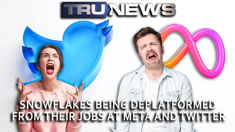Snowflakes Being Deplatformed from Their Jobs at Meta and Twitter