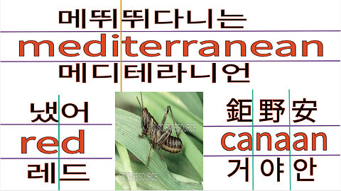 북아메리카주 곤지갈석 거야동정 홍해 지중해 최초공개!!!