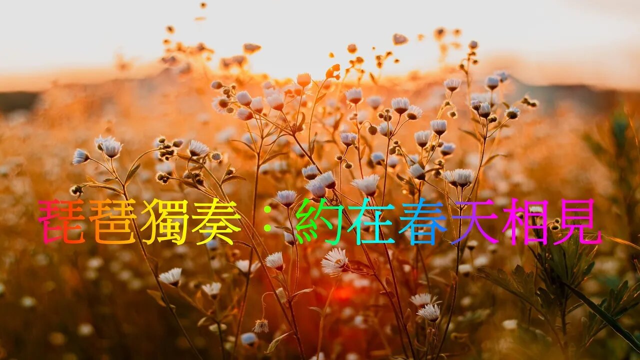 超好聽的琵琶音樂 中國古典音樂 心靈音樂 琵琶獨奏:約在春天相見