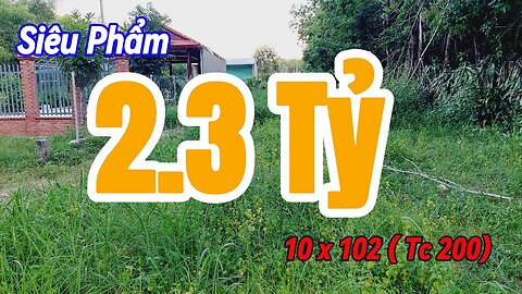 Đất Dầu Tiếng | ngộp EURO 2024 bán gấp lô đất 10 x 102 ( Tc 200) Giá rẽ#567