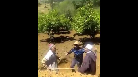 Crazy Farmers fighting