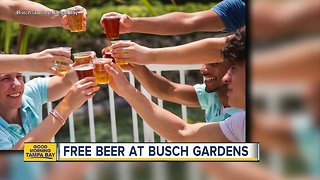 Free beer at Busch Gardens