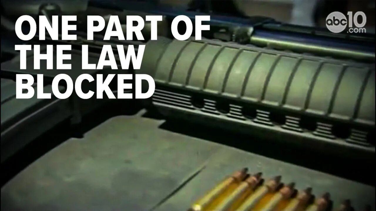 Private citizens can now sue for gun law violations
