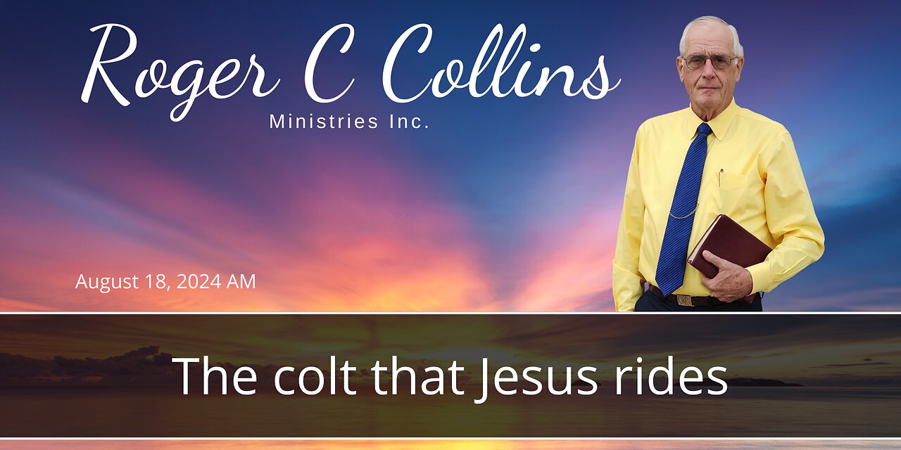 The colt that Jesus rides
