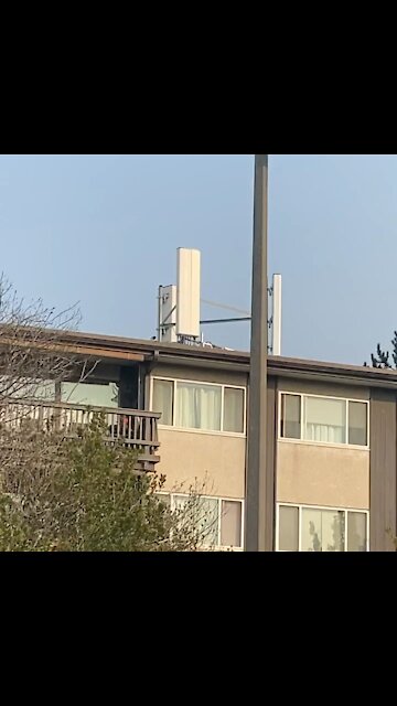 Shame on this property owner!