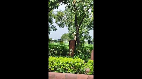 INDIA GATE 🇮🇳