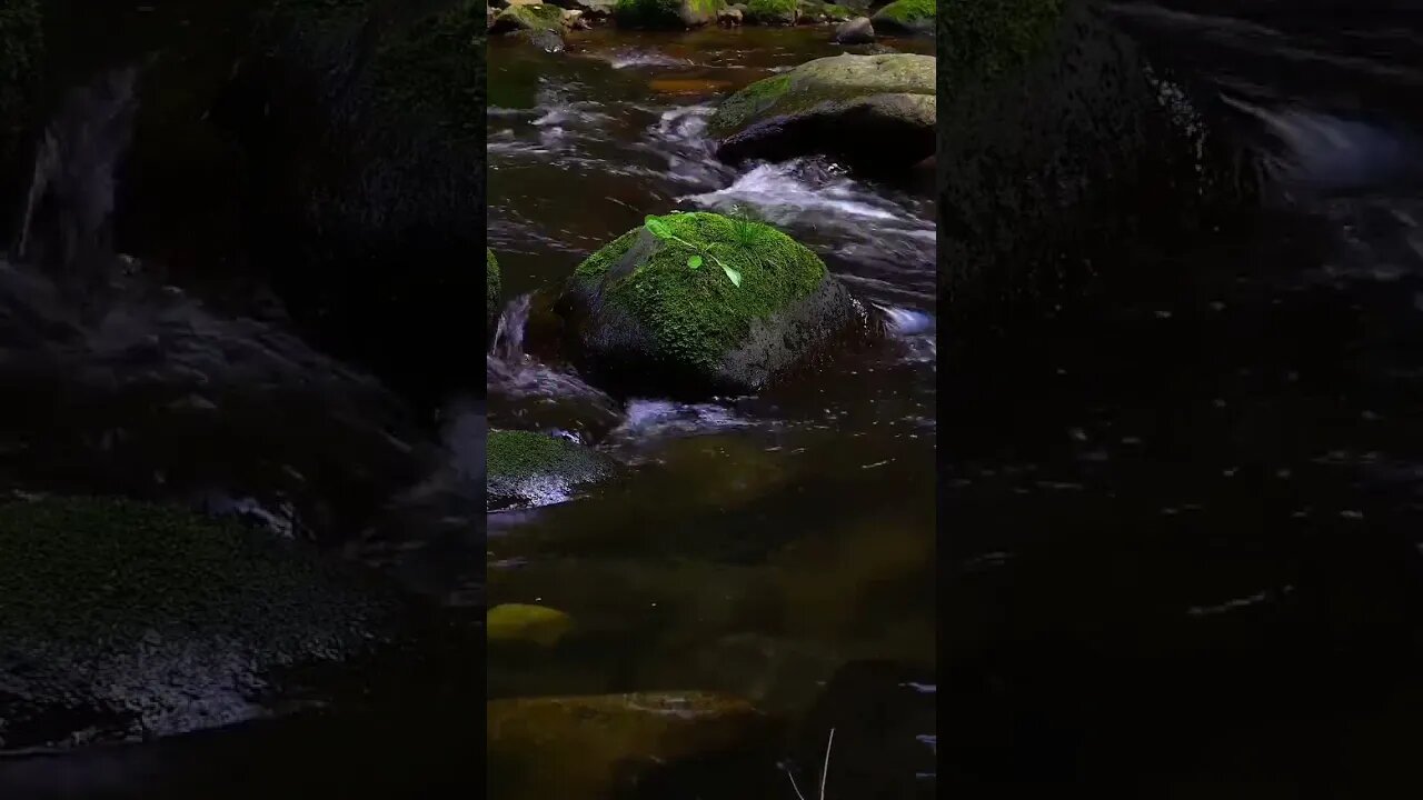 Relaxing Music with Nature Sounds. By the Waterfall, Forest Music, Meditation Music #shorts #rain