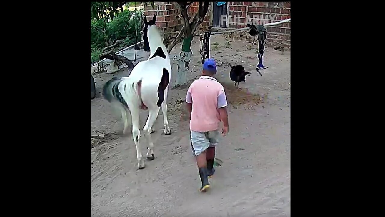 PSA: Never surprise a horse.