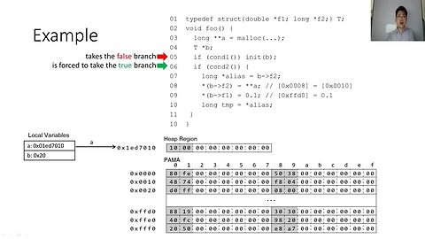 PMP Cost Effective Forced Execution with Probabilistic Memory Pre planning