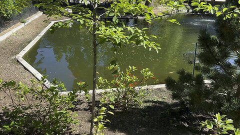 Liberty Park