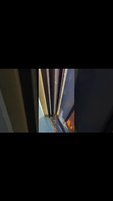 High from California