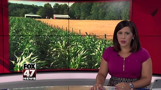 Farmers discuss economic impact of heavy rain with Michigan lawmakers