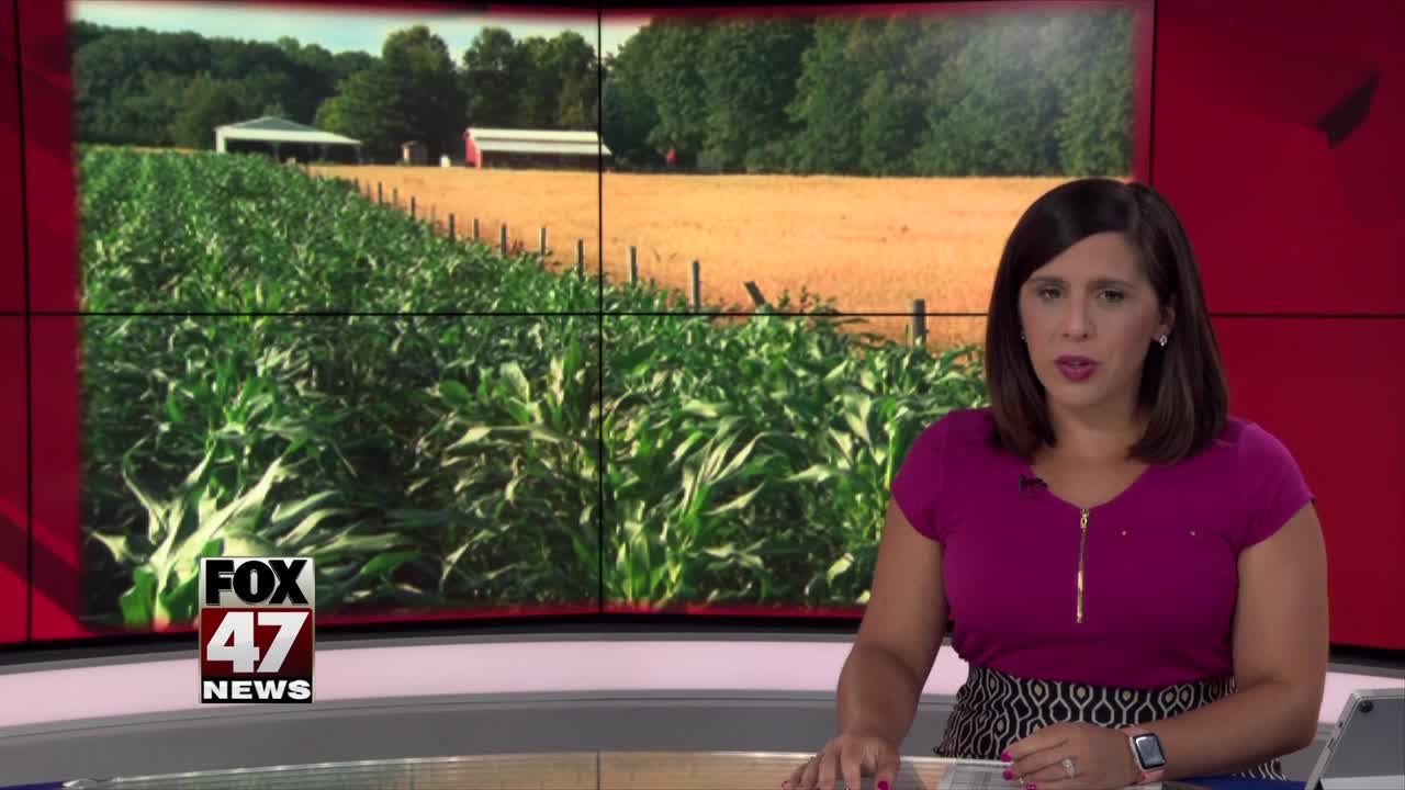 Farmers discuss economic impact of heavy rain with Michigan lawmakers