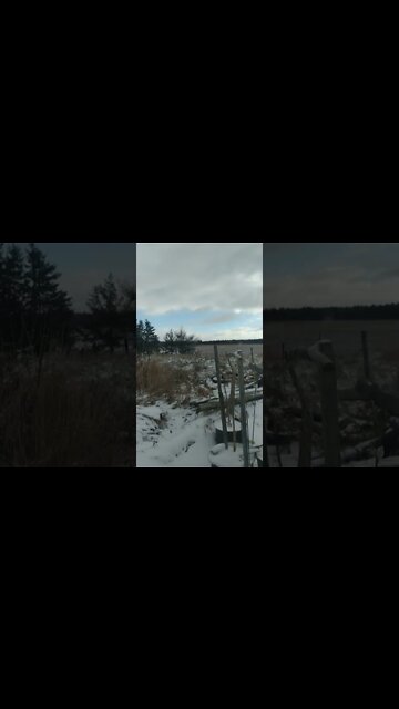 4K Slowmo Xionami MIA2