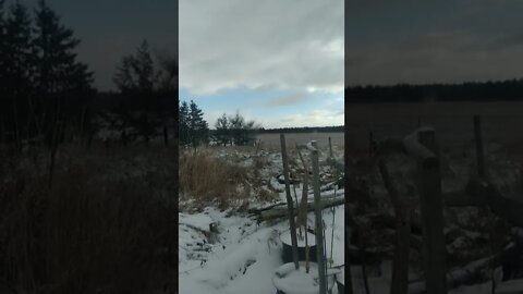 4K Slowmo Xionami MIA2