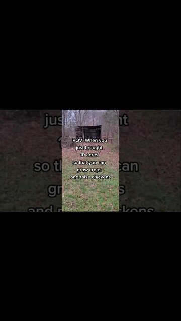 10 Acres for the Homestead