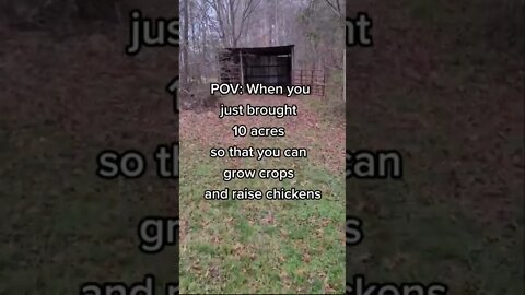 10 Acres for the Homestead