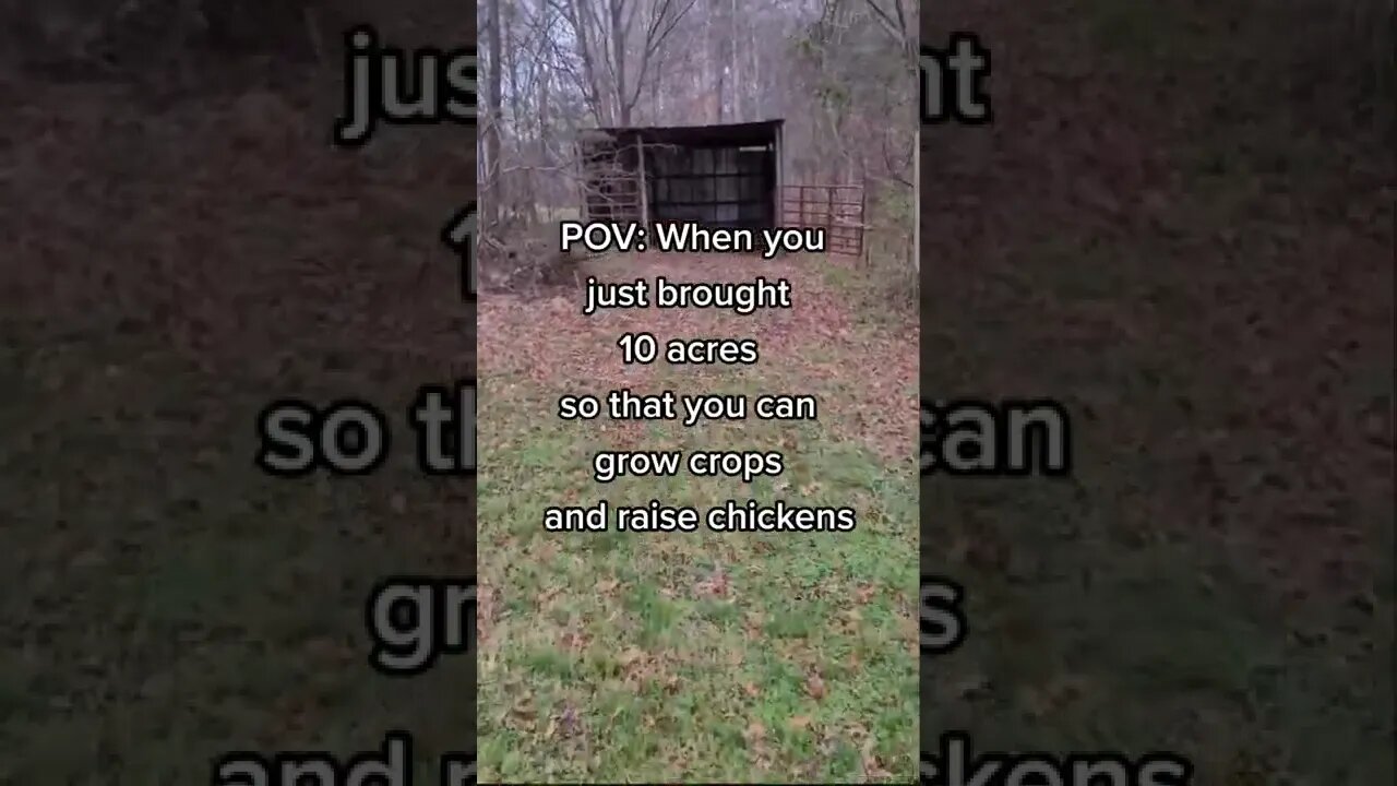10 Acres for the Homestead