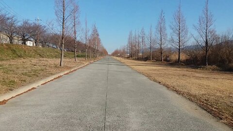 Park path under the bike path.