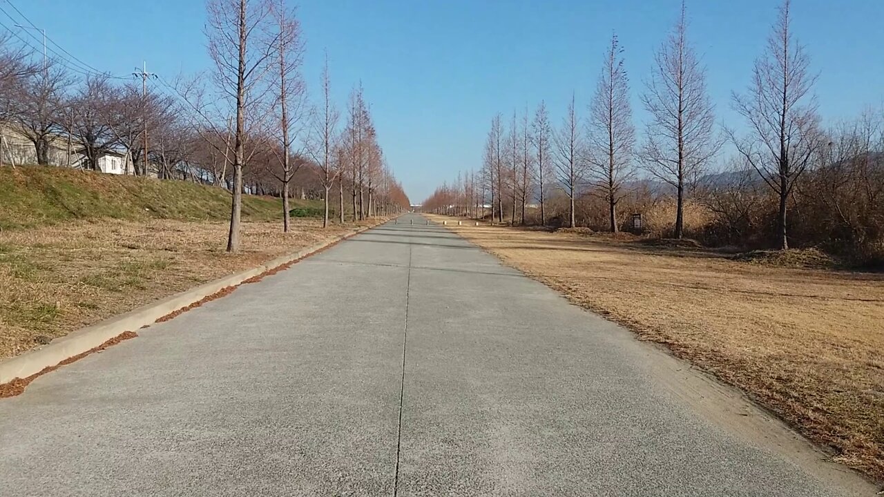 Park path under the bike path.