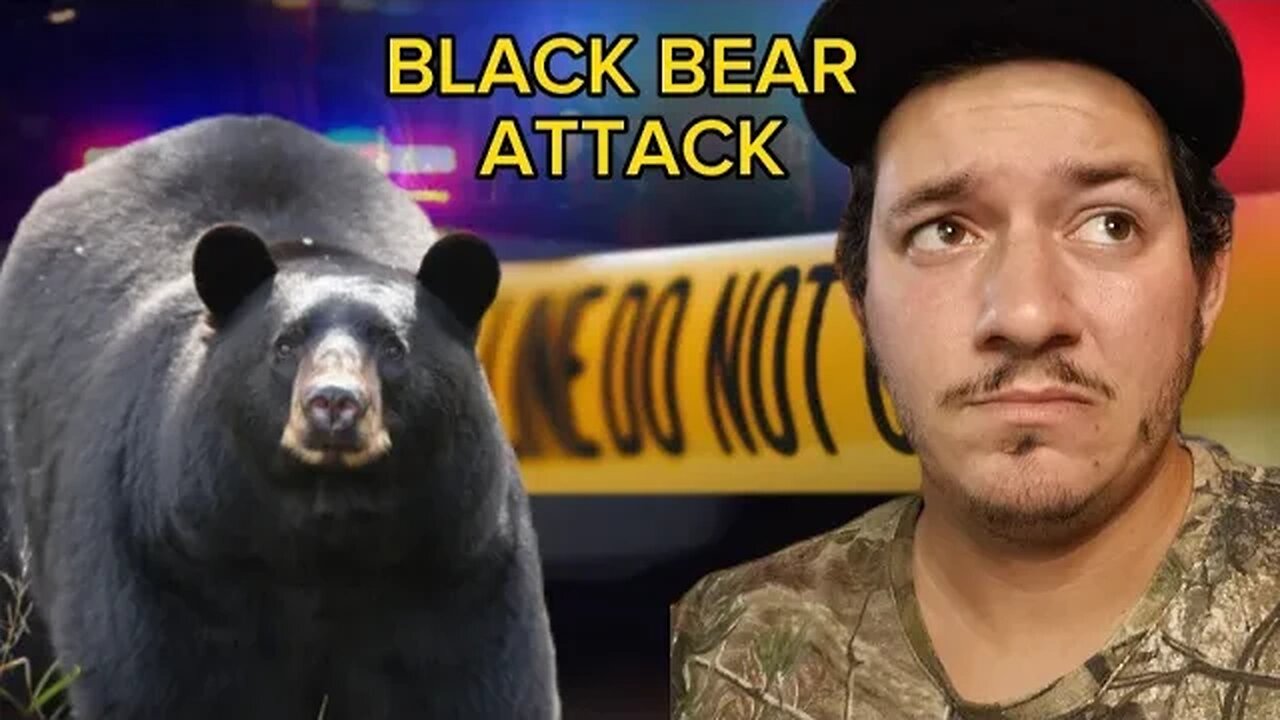 Black Bear Kills Arizona man in rare Predatory attack