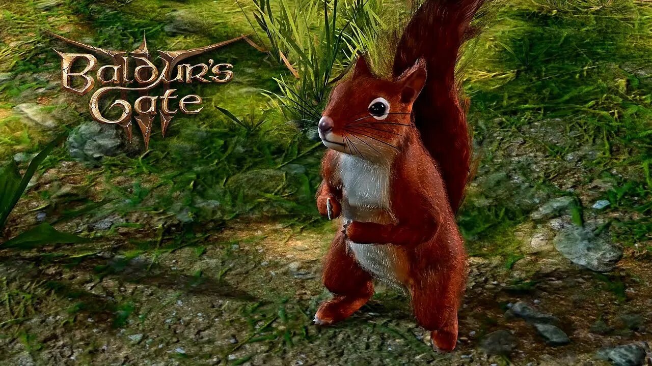 Kick the Squirrel Baldur s Gate 3