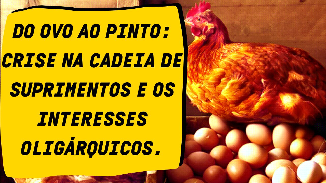 Reflexão sobre a cadeia de suprimentos, a partir de um ovo...